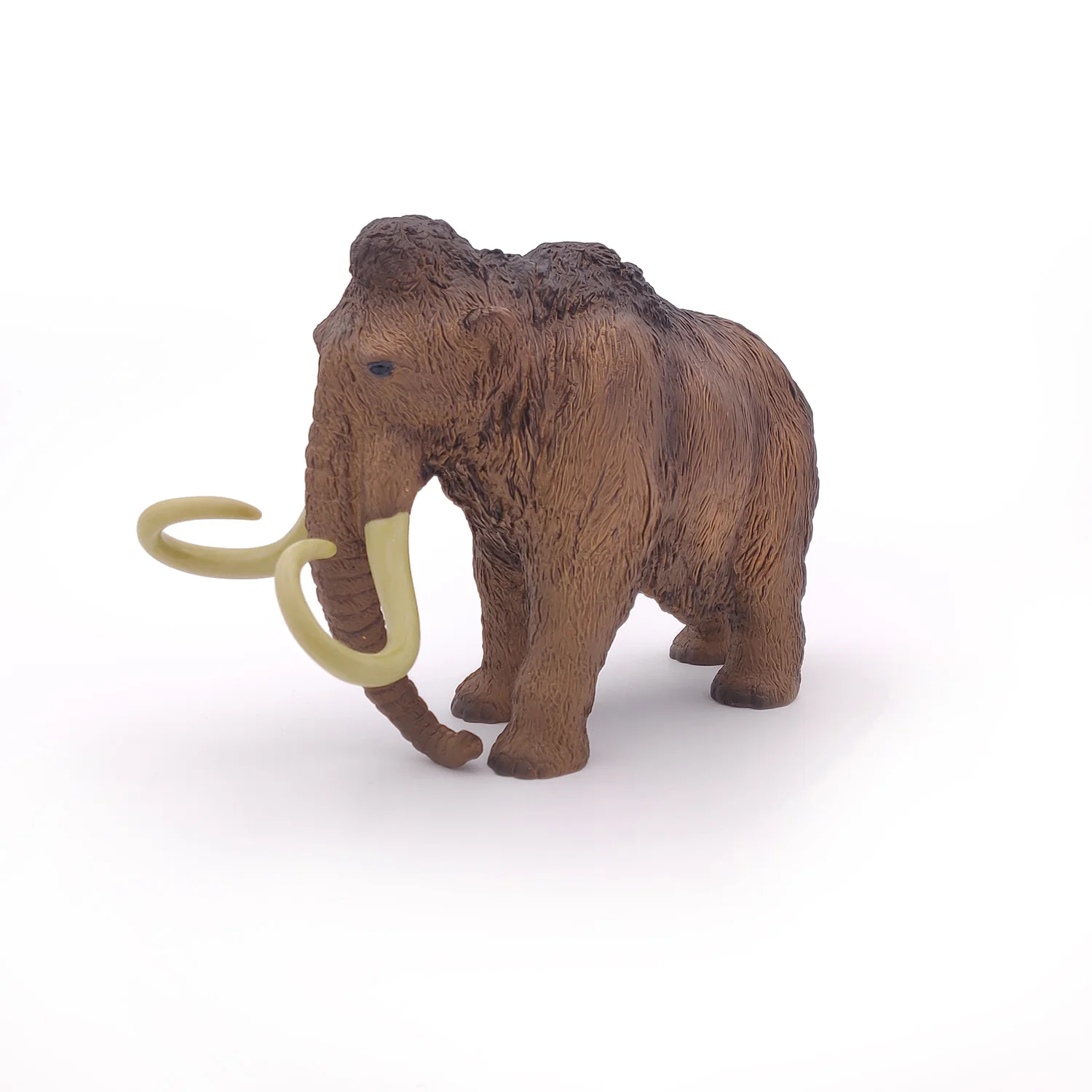 Miniature 1