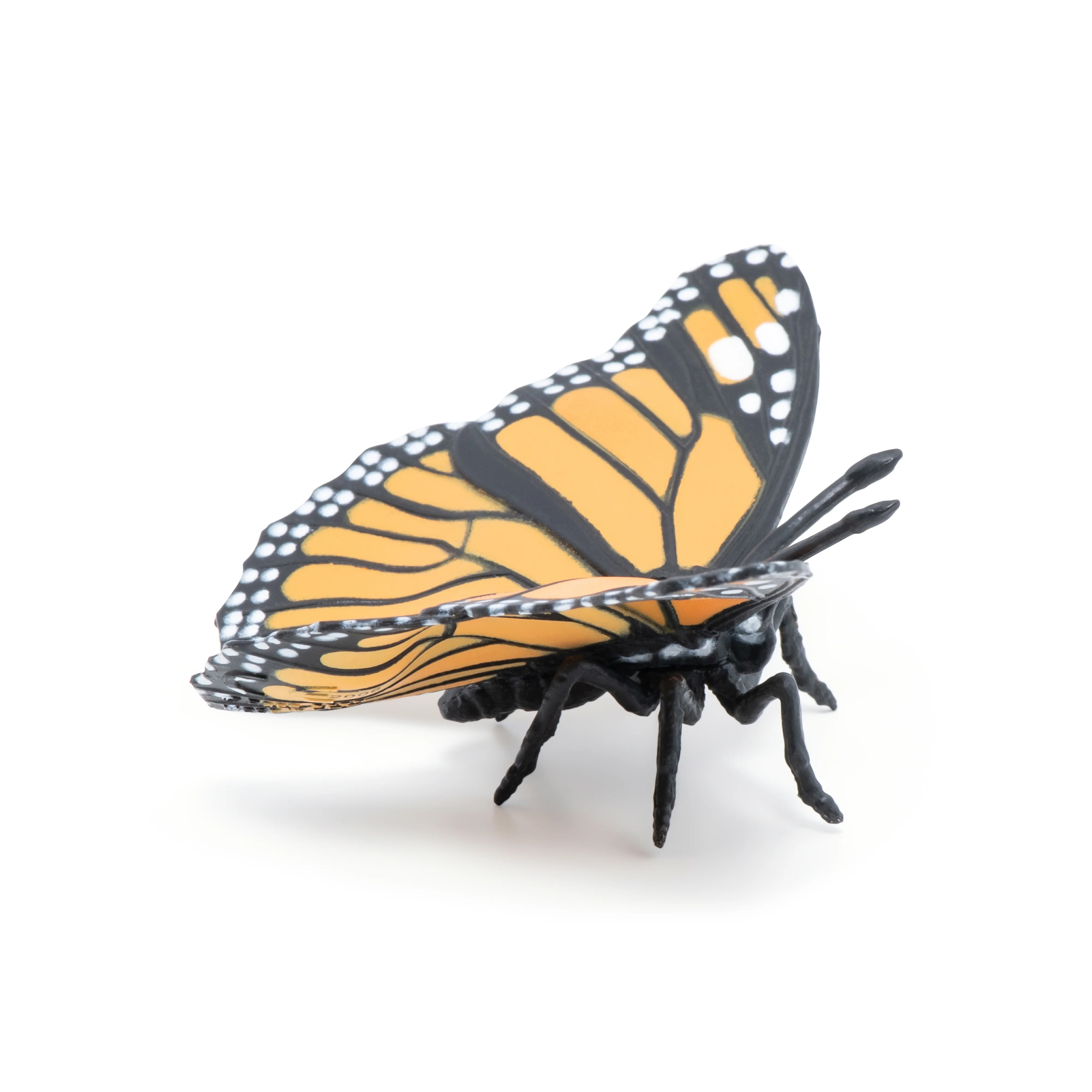 Miniature 1
