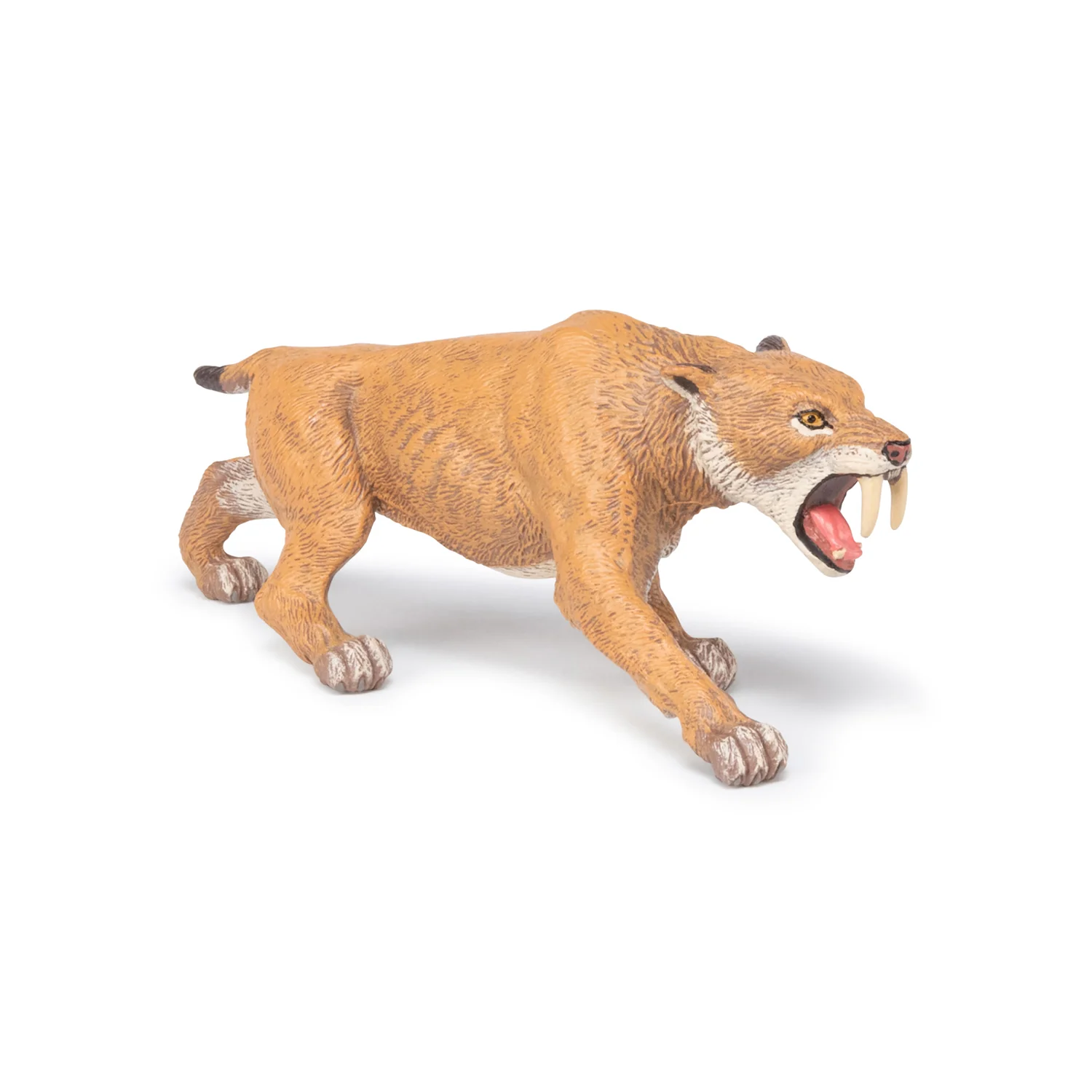 Miniature 1